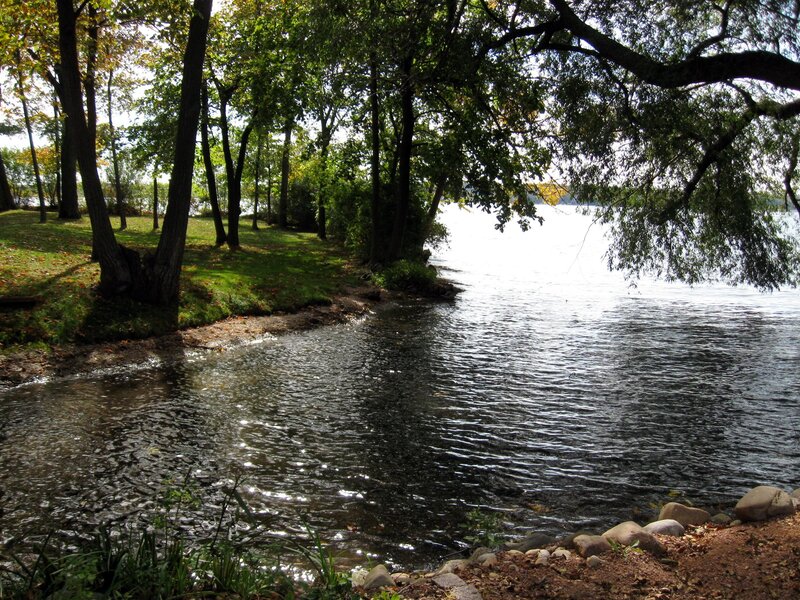 Riverbank with Trees — Green, Serene, Autumn