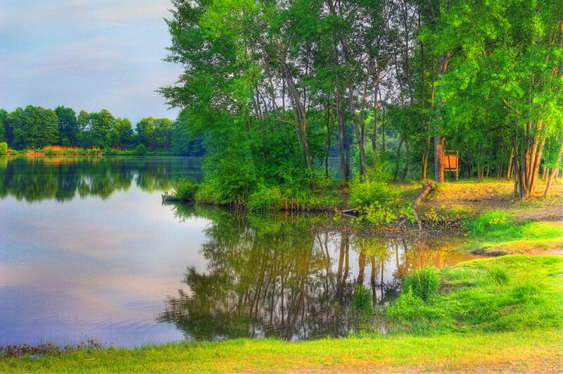 Riverbank with Trees — Green, Serene, Morning