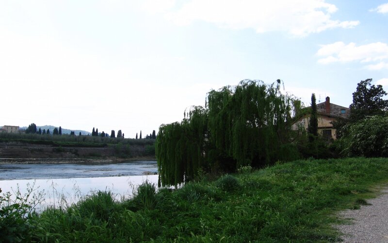 Riverbank with Weeping Willow