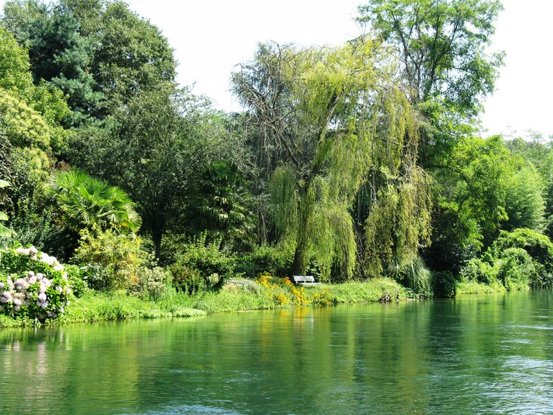 Riverbank with Willow Tree — Green