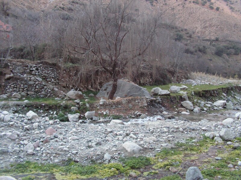 Riverbed in a mountain valley