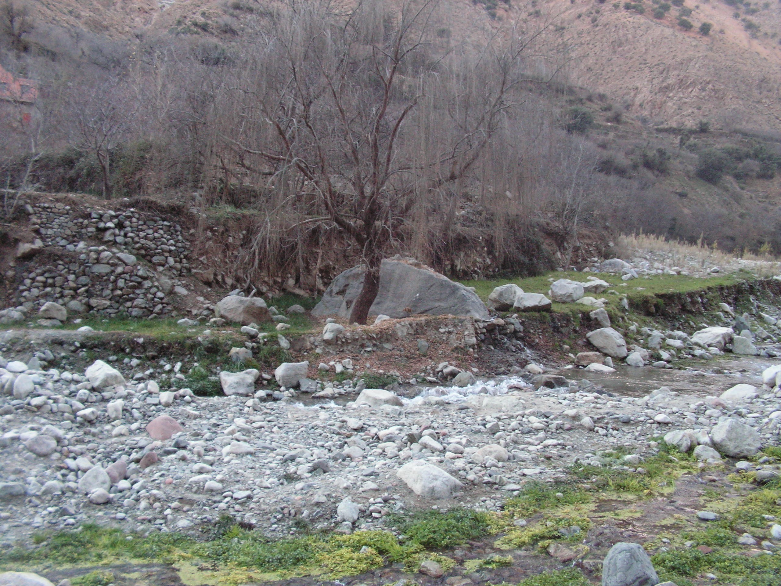 Riverbed in a mountain valley