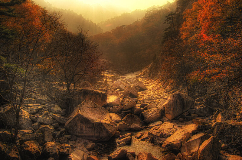 Riverbed in Autumn Forest