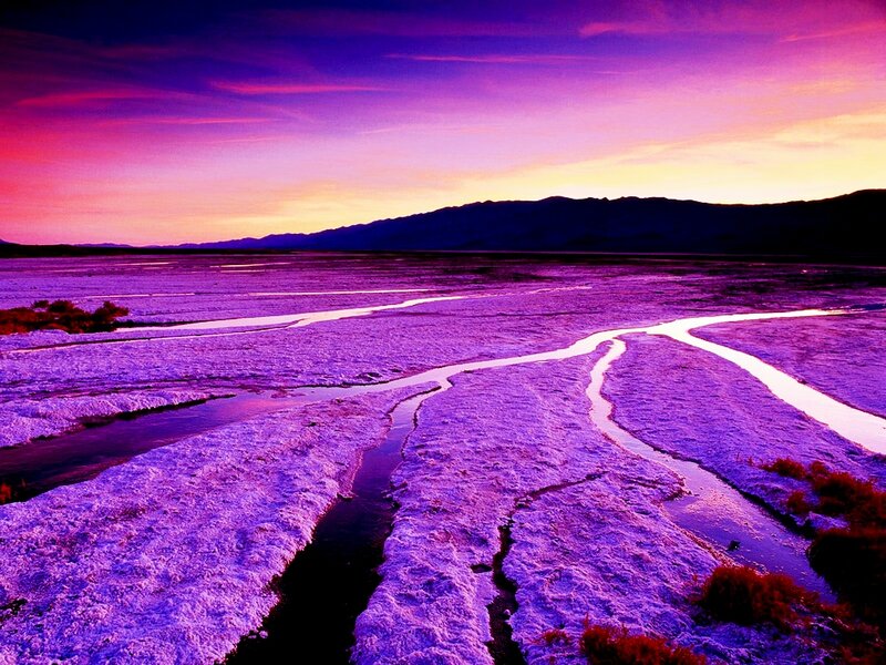Riverbed in Desert — Purple