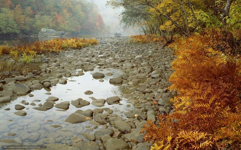 Riverbed with Autumn Foliage — Orange, Serene