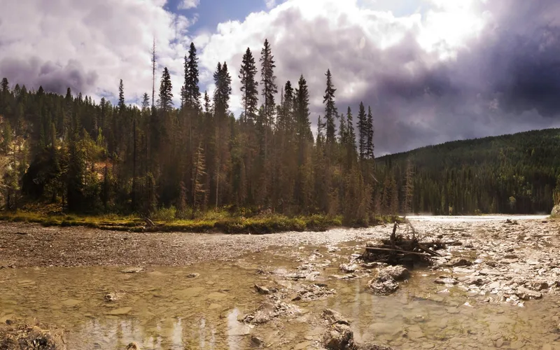 riverbed with forest and storm clouds