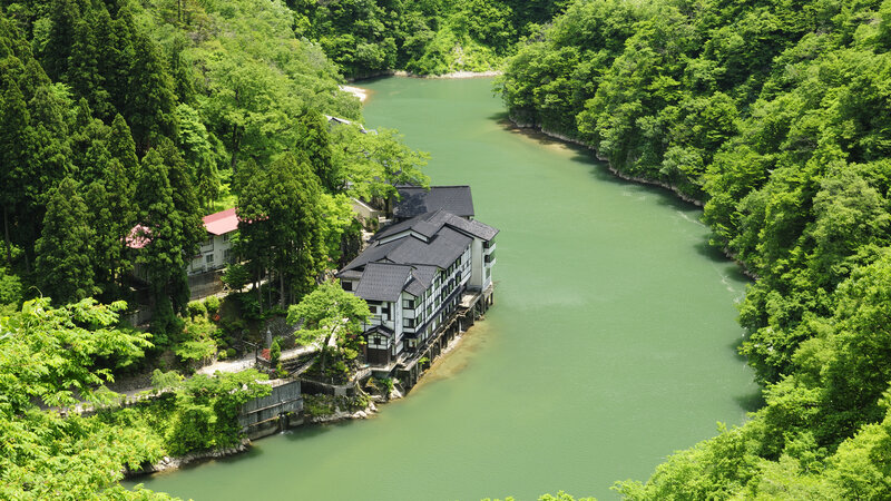 Riverfront Building in Forest