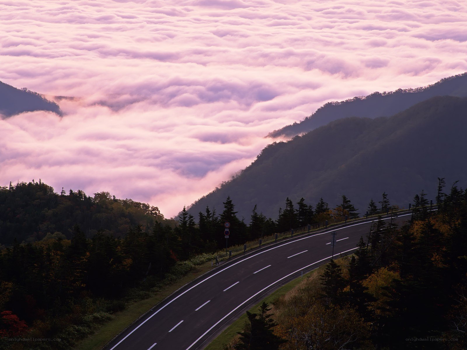 Road above the clouds at dawn