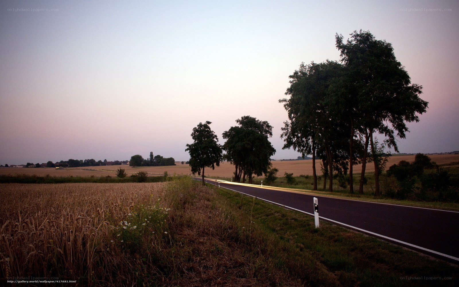 Road at dusk in the countryside