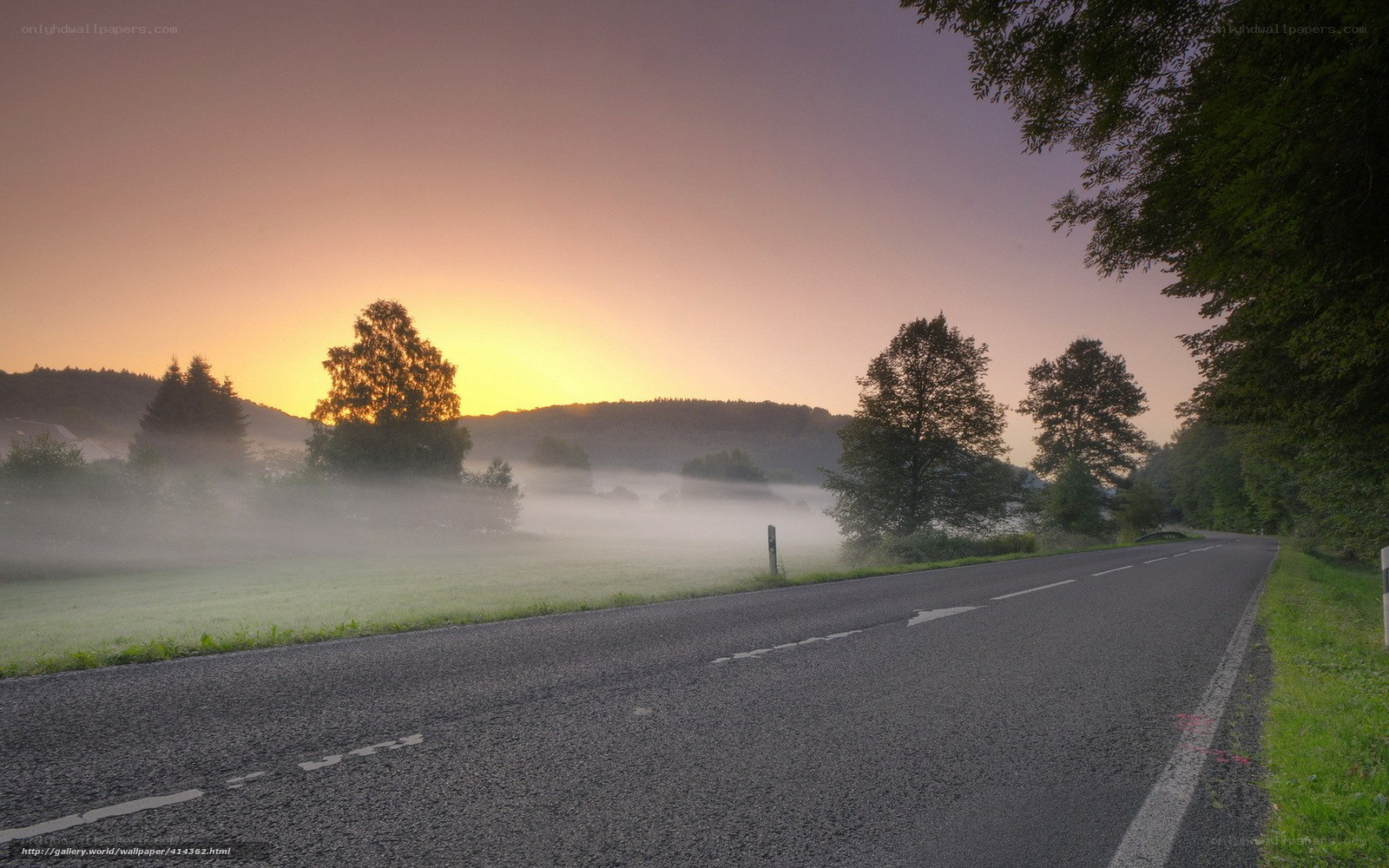Road at sunrise with fog