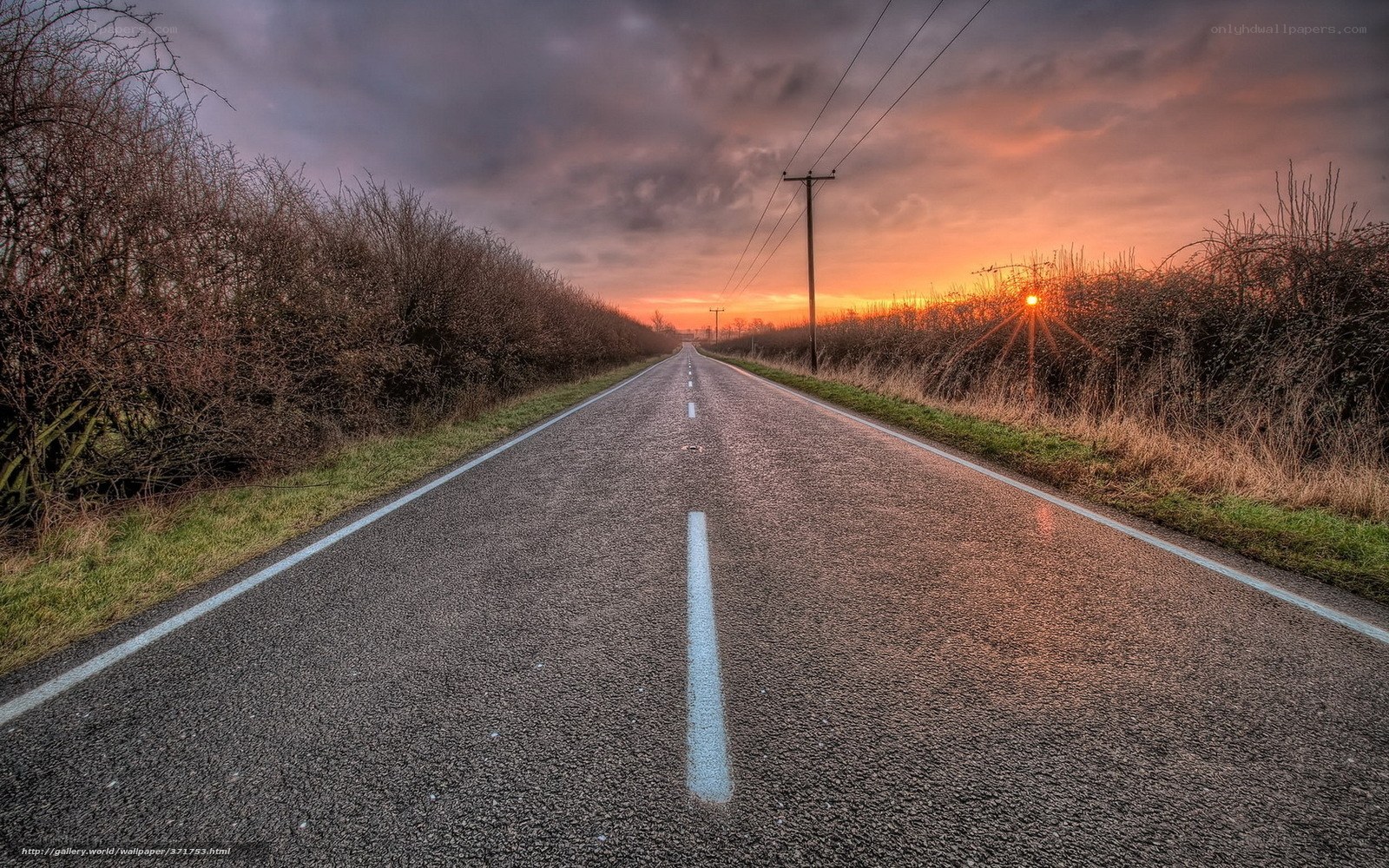 Road at sunset