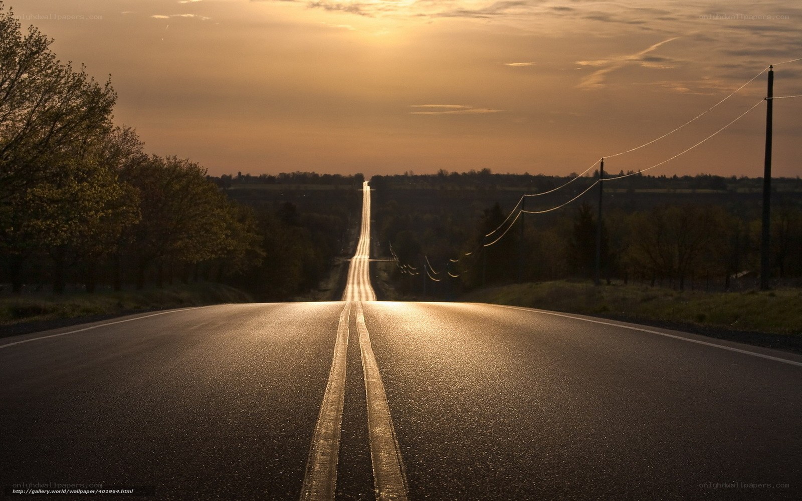 Road at sunset