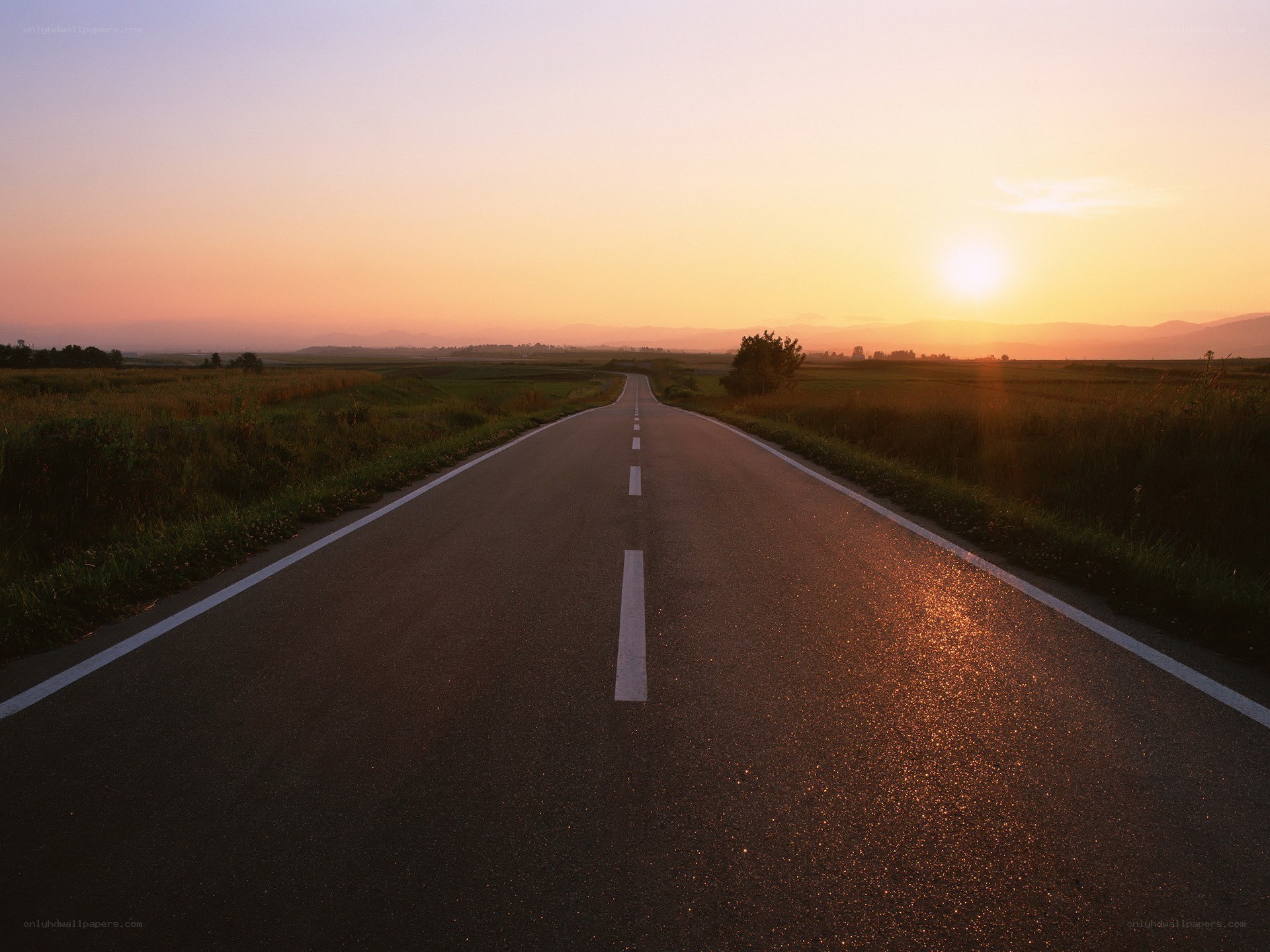 Road at sunset