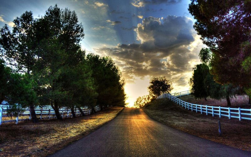 Road at Sunset — Blue, Dramatic, Photograph, Trees, Fences