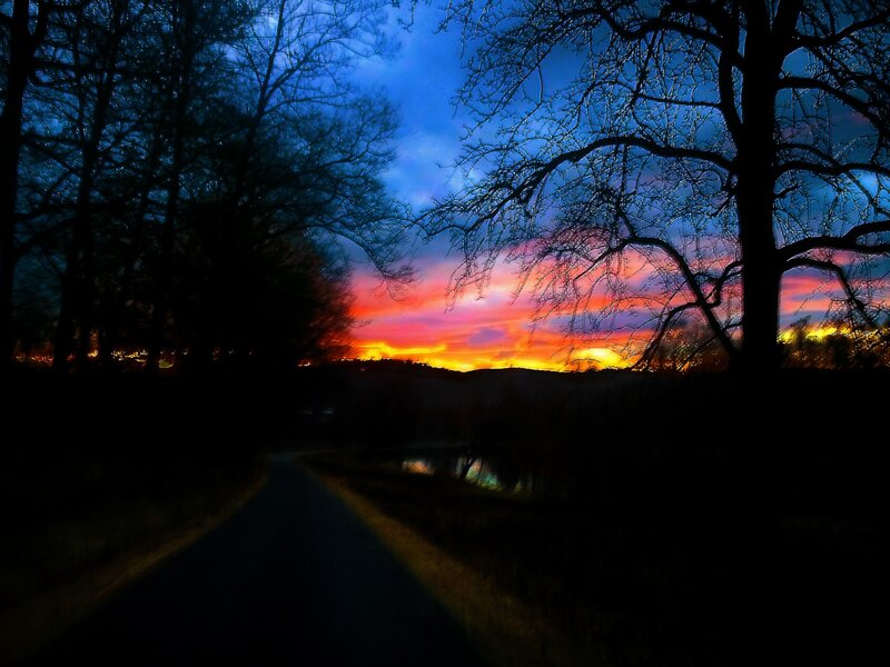 Road at Sunset — Blue, Dramatic, Photograph, Trees, Sky