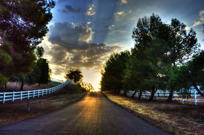Road at Sunset — Blue, Dramatic, Photograph, Trees
