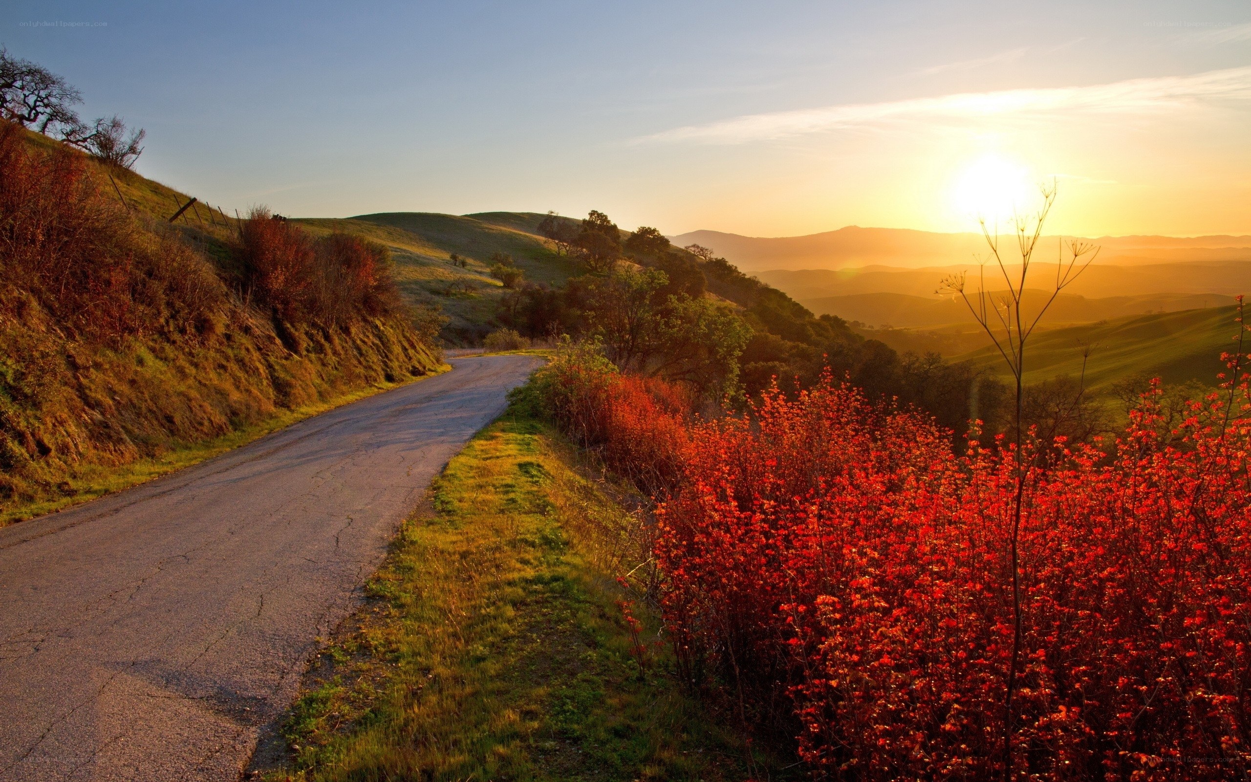 Road at sunset in rolling hills