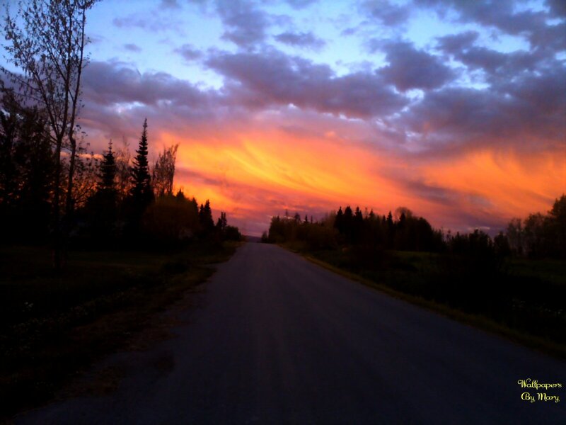 Road at Sunset — Orange, Dramatic, Photograph, Sky, Trees