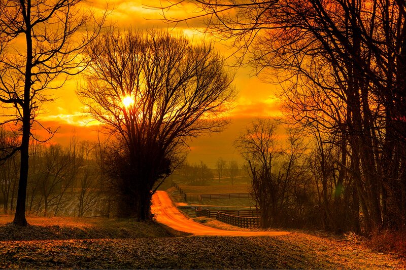 Road at Sunset — Orange, Dramatic, Photograph, Trees