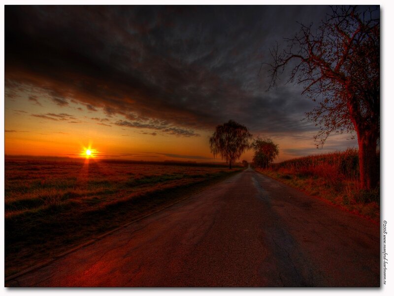 Road at Sunset — Orange, Dramatic