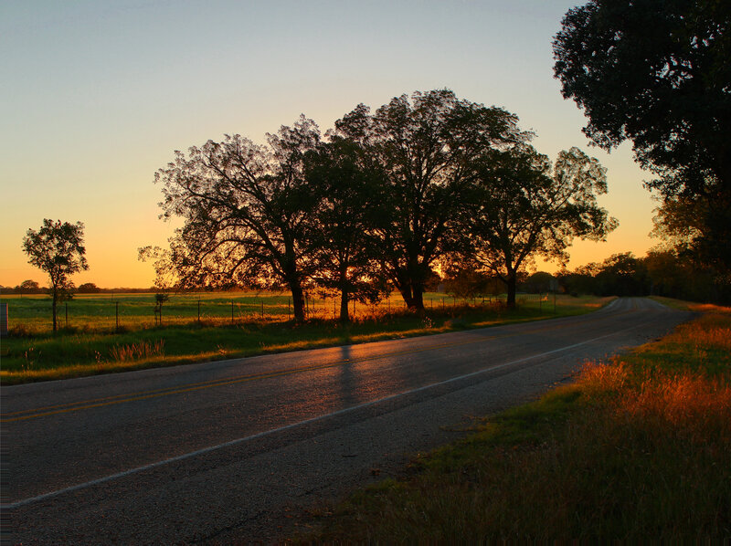 Road at Sunset — Orange, Serene, Photograph, Trees, Field
