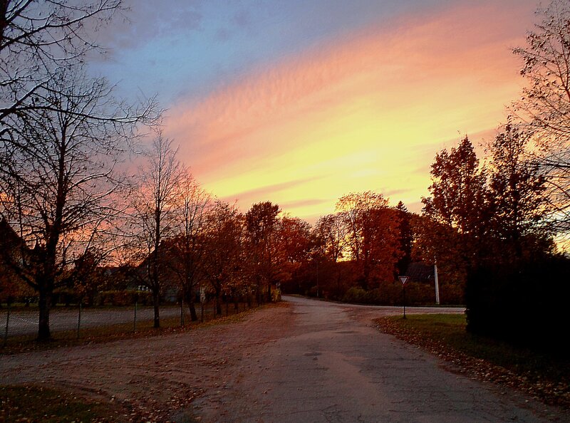 Road at Sunset — Orange, Serene, Photograph, Trees, Sky