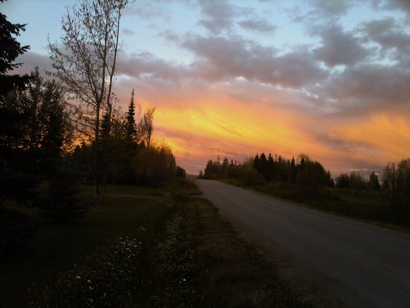 Road at Sunset — Orange, Serene, Photograph, Trees
