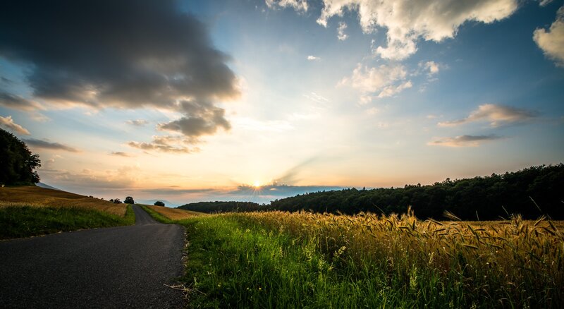 Road at sunset through fields