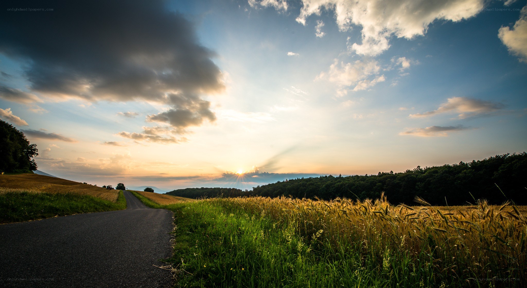 Road at sunset through fields