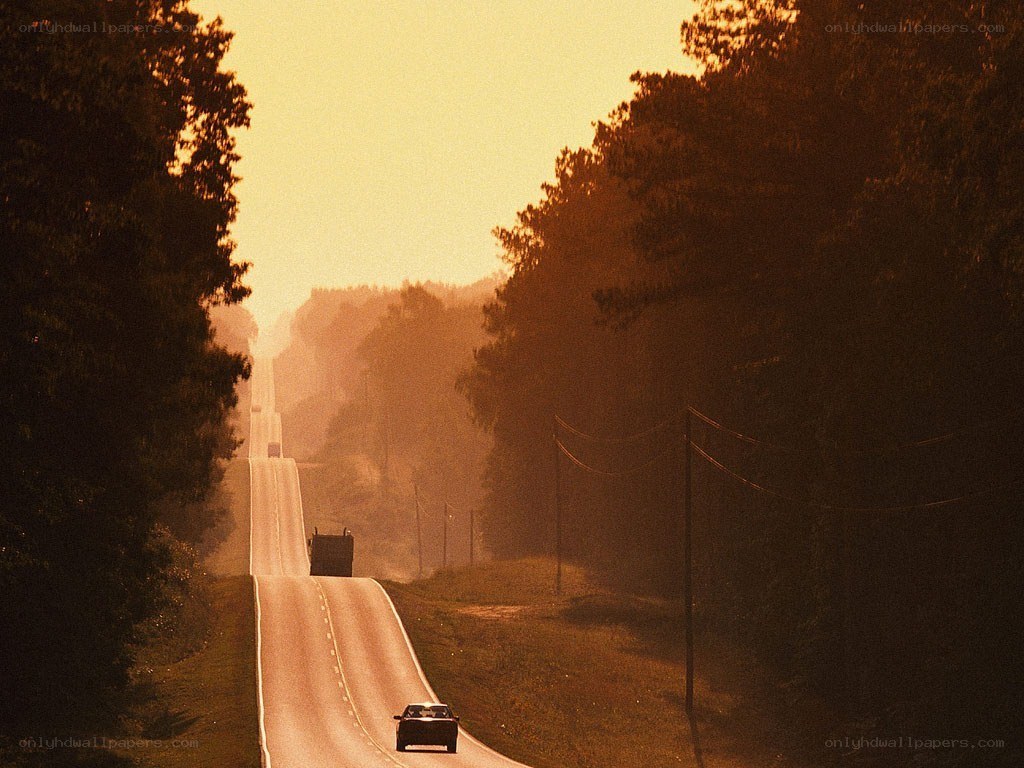 Road at sunset through forest