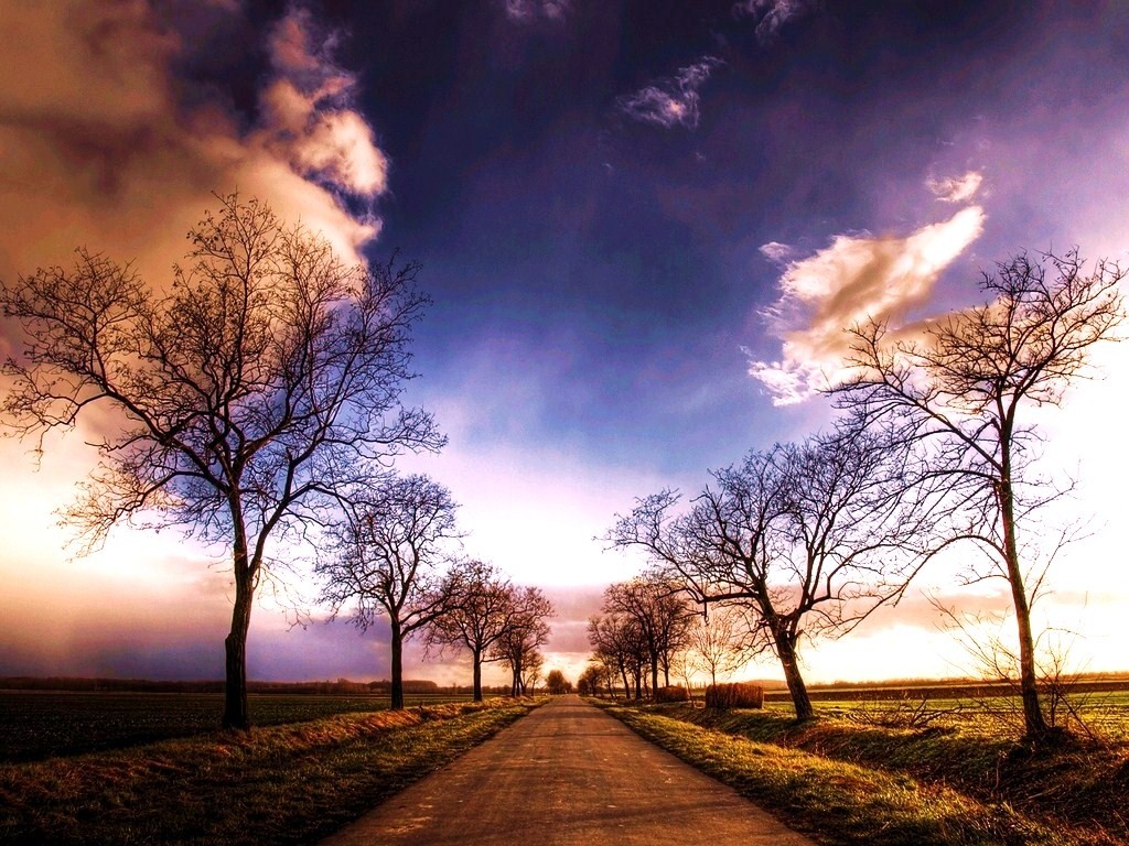 Road at sunset with bare trees