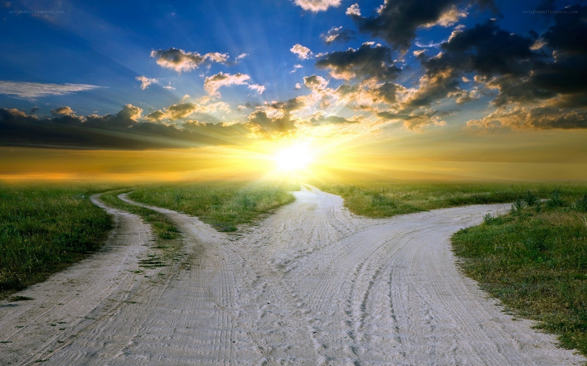 Road at sunset with diverging paths