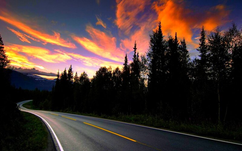 Road at sunset with forest