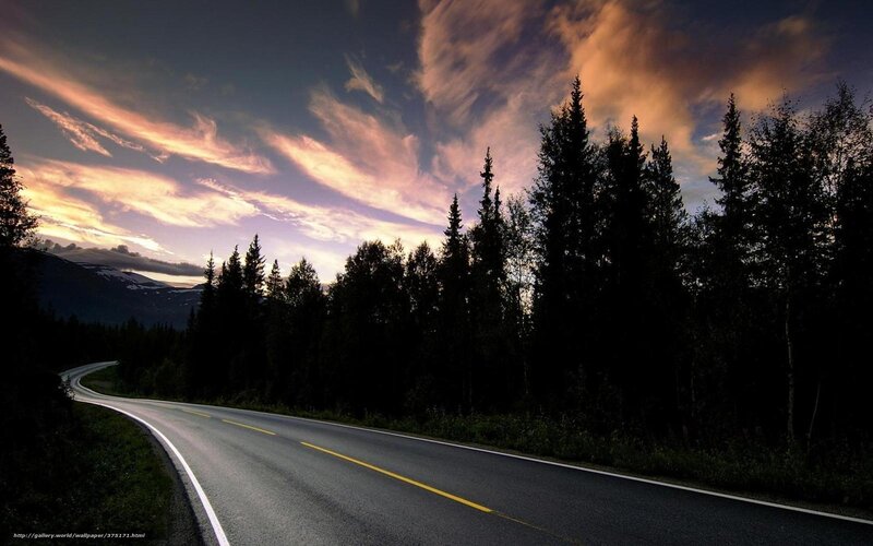 Road at sunset with forest