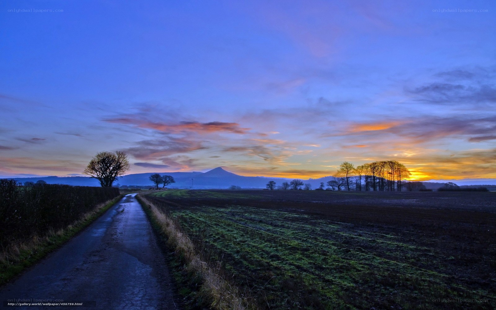 Road at sunset with mountain view
