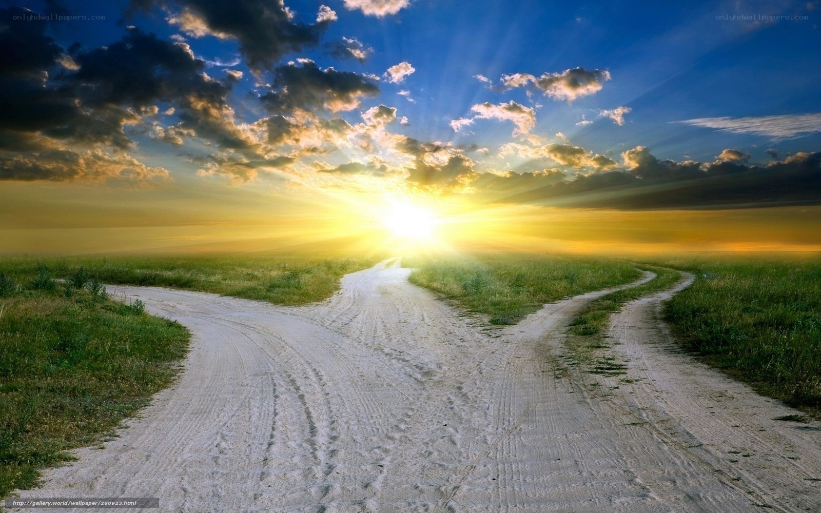 Road at sunset with split path