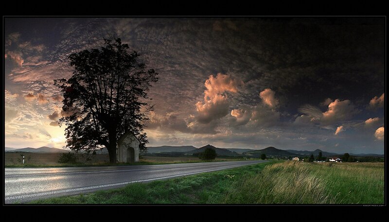 Road at sunset with tree shrine
