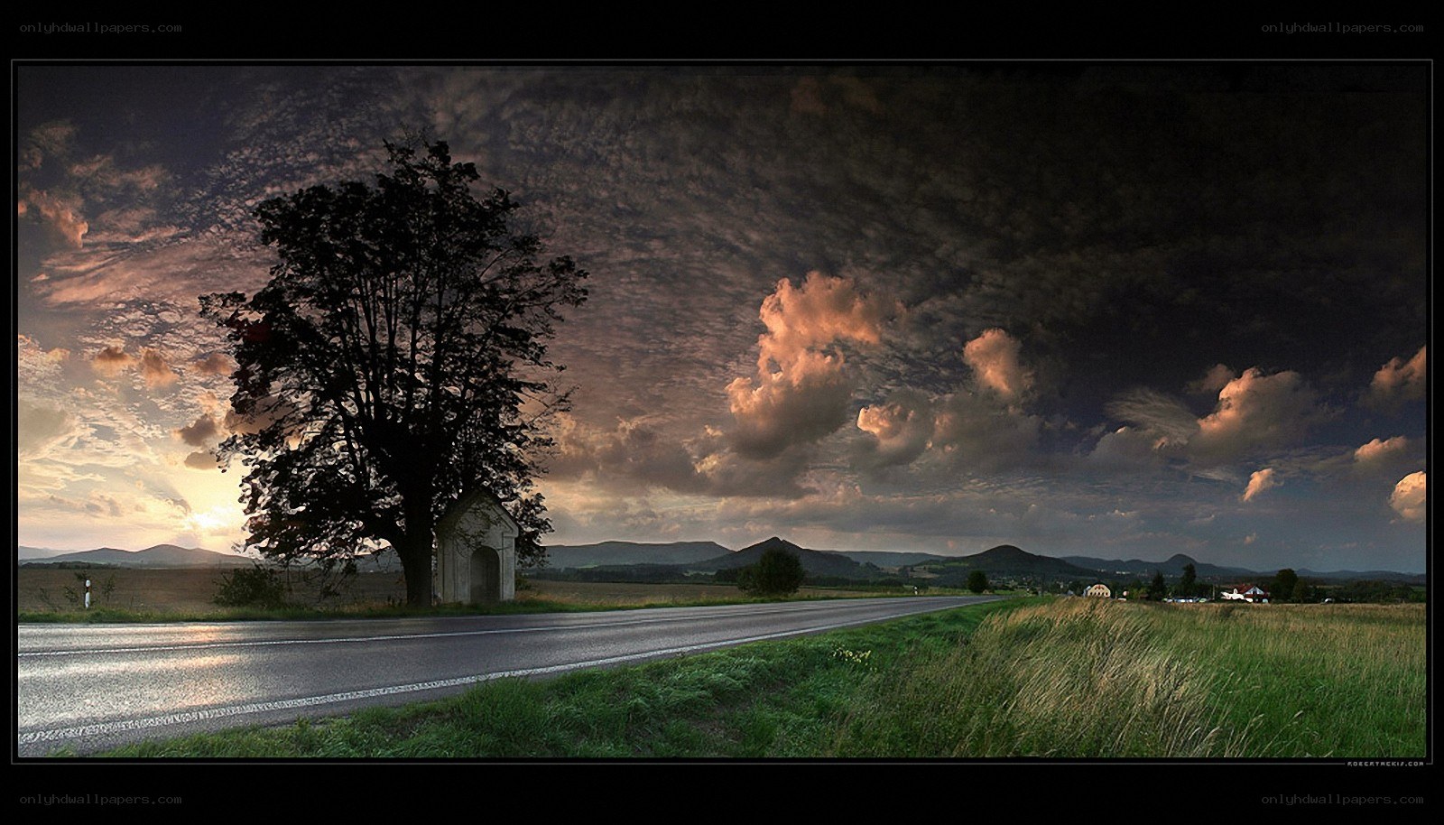 Road at sunset with tree shrine