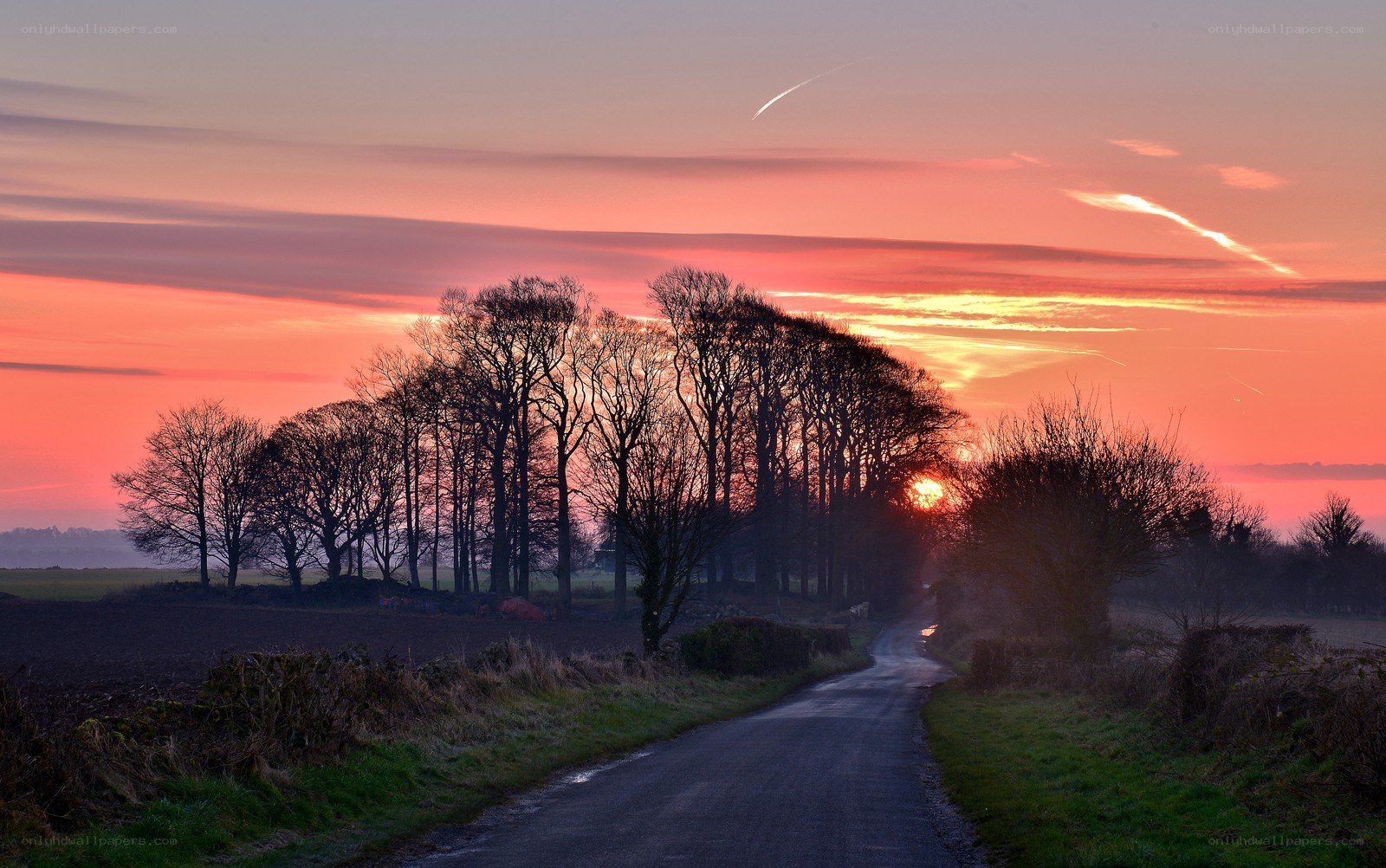 Road at sunset with trees