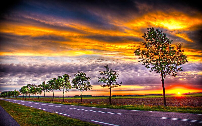 Road at sunset with trees