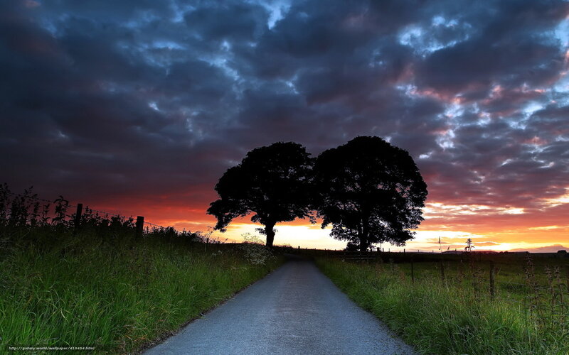 Road at sunset with trees
