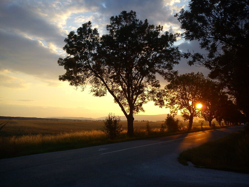 Road at Sunset — Yellow, Serene
