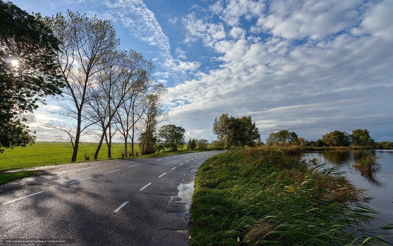 Road beside a river on a sunny day