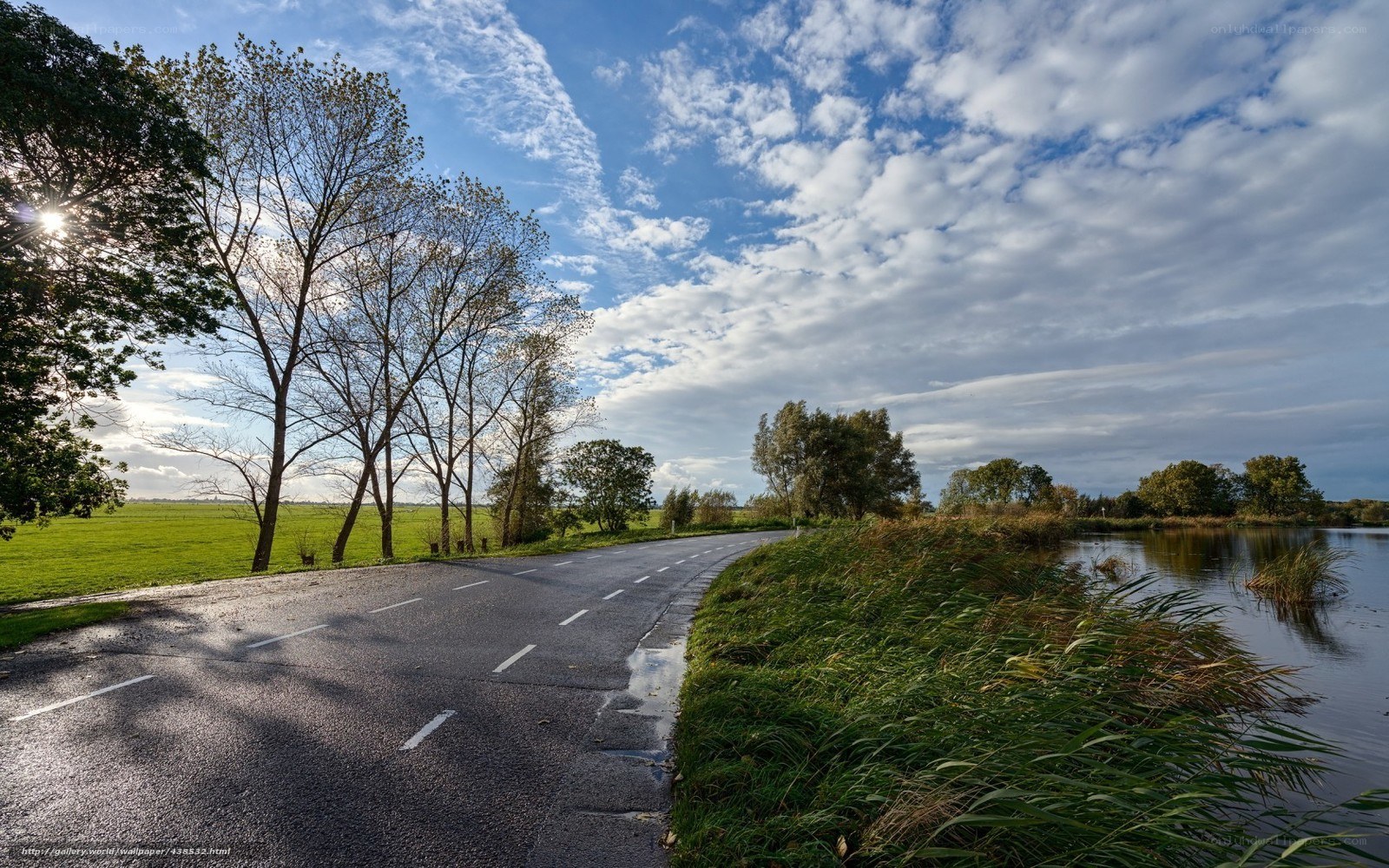 Road beside a river on a sunny day