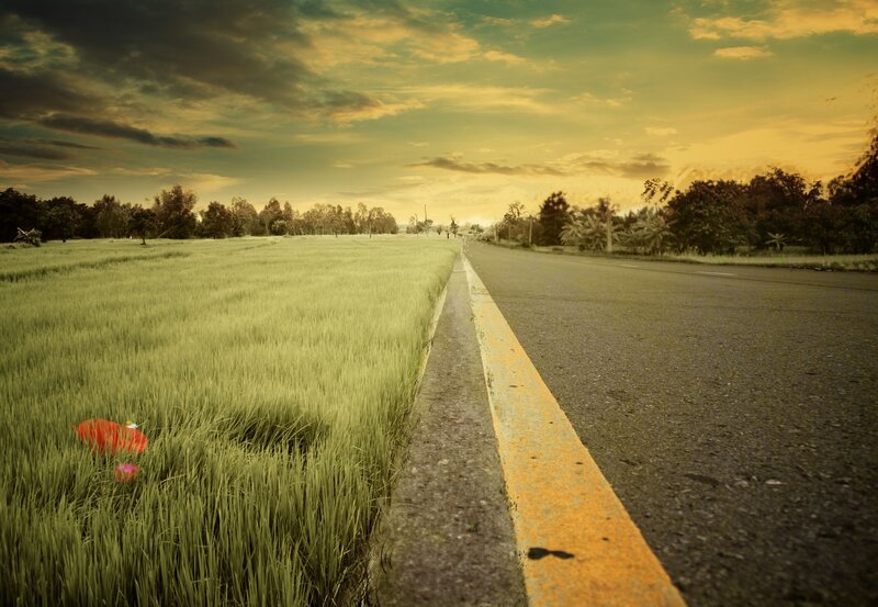 Road Beside Rice Field