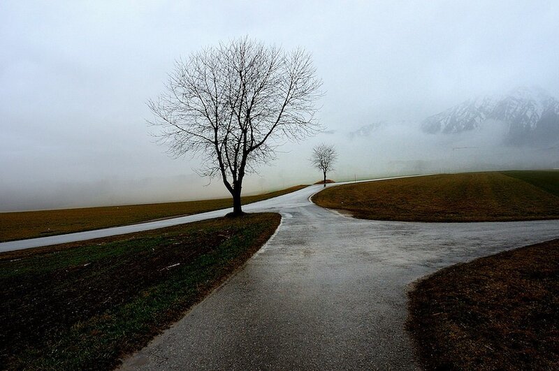 Road fork in foggy landscape