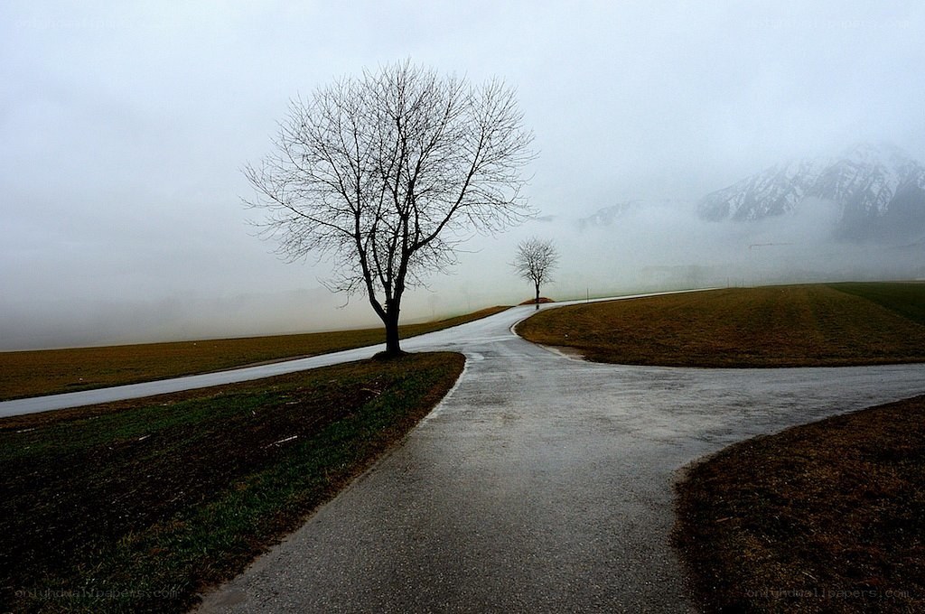 Road fork in foggy landscape