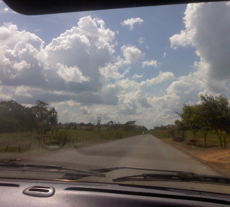 Road from Car Window
