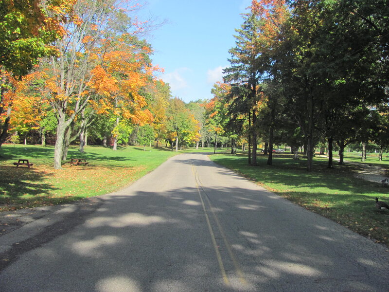 Road in Autumn Park