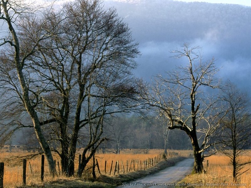 Road in Cades Cove